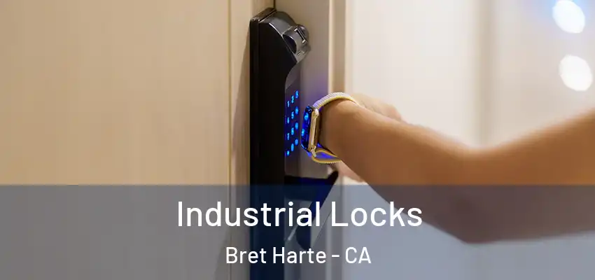  Industrial Locks Bret Harte - CA