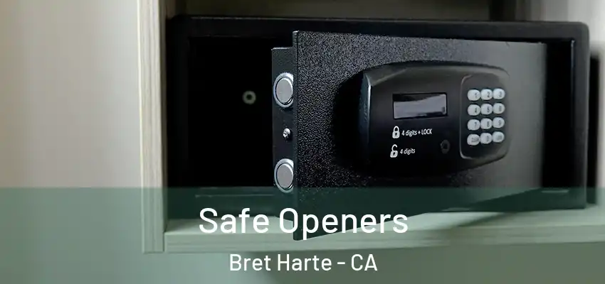  Safe Openers Bret Harte - CA